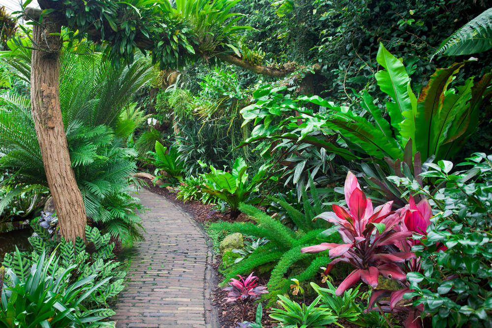 Optez pour un jardin exotique pour une végétation luxuriante